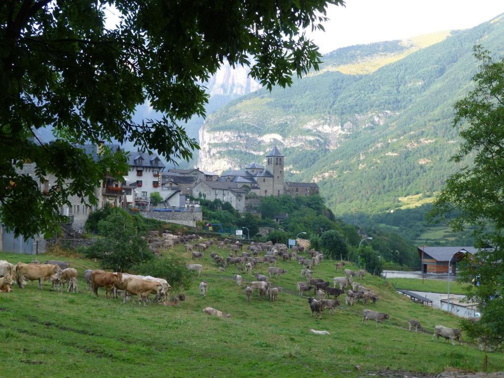 Hotel Bellavista Ordesa Торла Екстер'єр фото